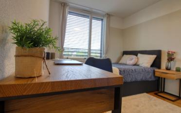 Single room 1 room - image - 1
