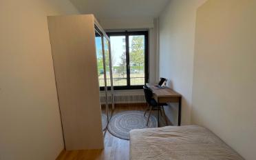Single room 1 room - image - 5