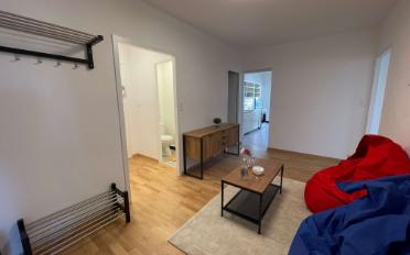 Single room 1 room - image - 11