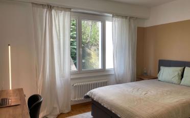 Chambre 1 pièce - image - 1