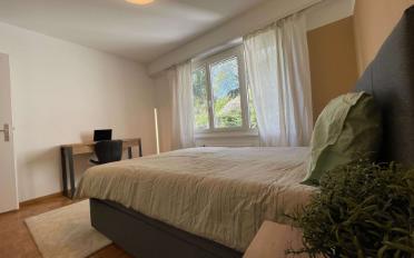 Chambre 1 pièce - image - 10