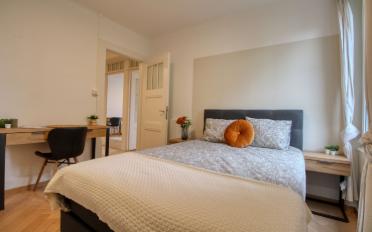 Single room 1 room - image - 2