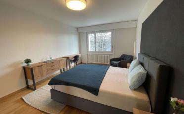 Chambre 1 pièce - image - 7