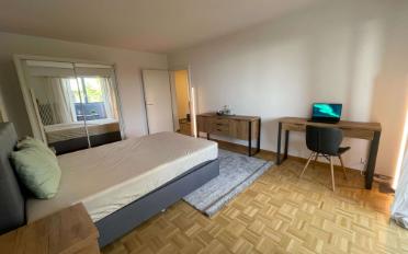 Single room 1 room - image - 10