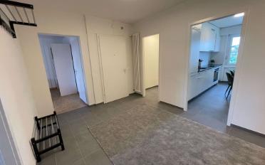 Single room 1 room - image - 21