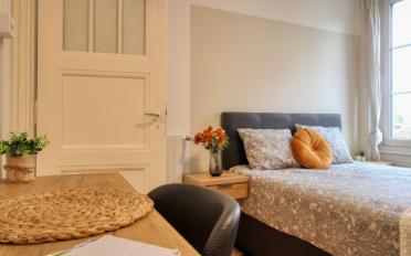 Single room 1 room - image - 6