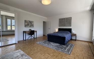 Single room 1 room - image - 1