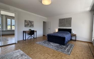 Single room 1 room - image - 4