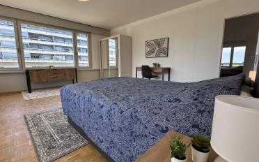 Single room 1 room - image - 8
