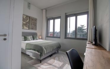 Studio 1.5 rooms - image - 2