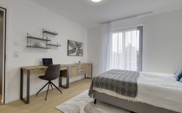 Studio 1.5 rooms - image - 3