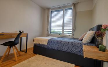 Single room 1 room - image - 1