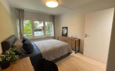 Single room 1 room - image - 2