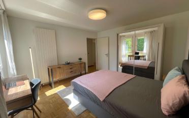 Single room 1 room - image - 5