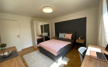 Single room 1 room - image - 8