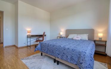 Chambre 1 pièce - image - 4