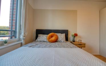 Single room 1 room - image - 4