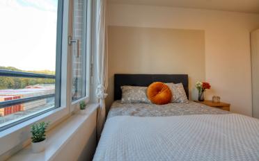 Single room 1 room - image - 8