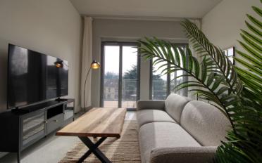 Studio 1.5 rooms - image - 30