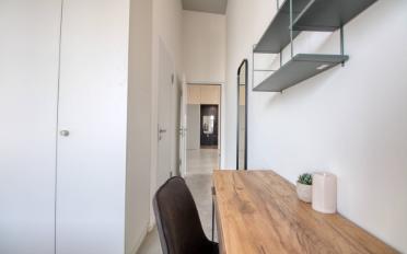 Studio - image - 4