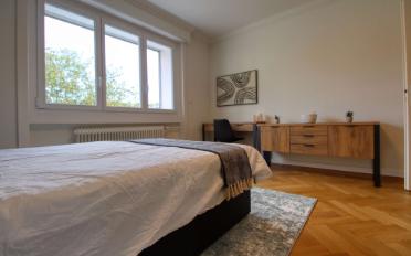 Einzelzimmer - image - 3