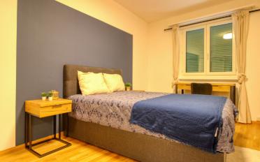 Chambre 1 pièce - image - 3