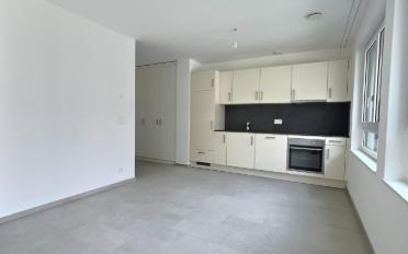 Studio 1.5 rooms - image - 2