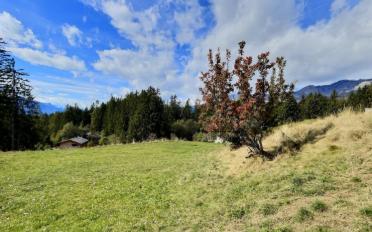 Bauland - image - 4