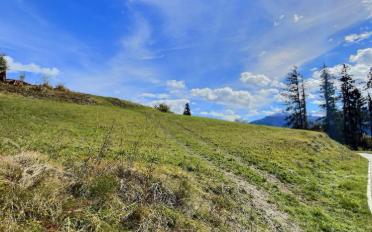 Bauland - image - 7