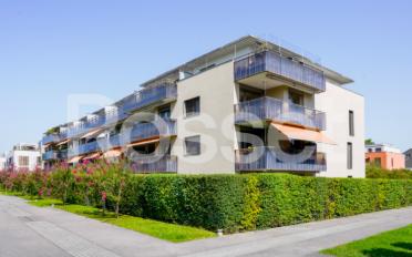 Wohnung 4 Zimmer - image - 1