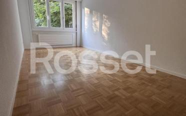 Apartment 4.5 rooms - image - 6