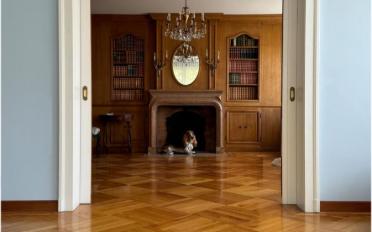 Wohnung 8 Zimmer - image - 2