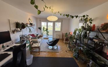 Wohnung 2.5 Zimmer - image - 2