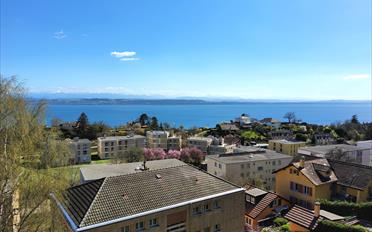 Appartement 3.5 pièces - image - 1