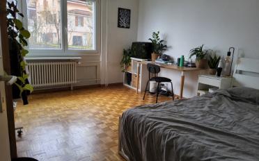 Appartement 4 pièces - image - 2