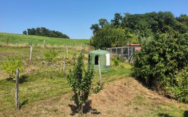 Einfamilienhaus 7 Zimmer - image - 18