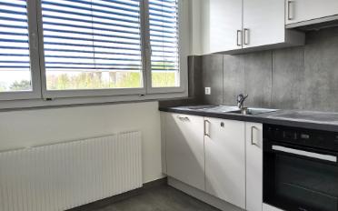 Wohnung 3 Zimmer - image - 5