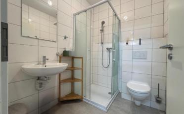 Werkstatt 1.5 Zimmer - image - 6