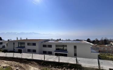 Doppeleinfamilienhaus 4.5 Zimmer - image - 3