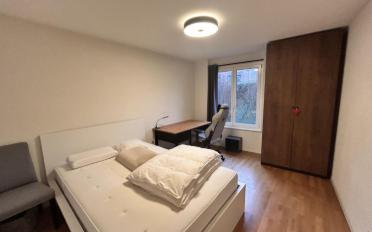 Apartment 3.5 rooms - image - 8