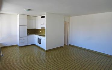 Wohnung 2.5 Zimmer - image - 1