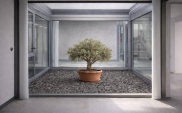 Maison 6.5 pièces - image - 6