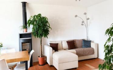 Einfamilienhaus 4.5 Zimmer - image - 3