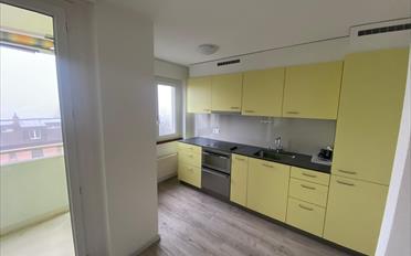 Wohnung 2.5 Zimmer - image - 1