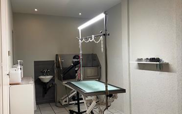 Shop 1 room - image - 3