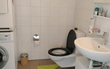 Duplex 4 rooms - image - 6