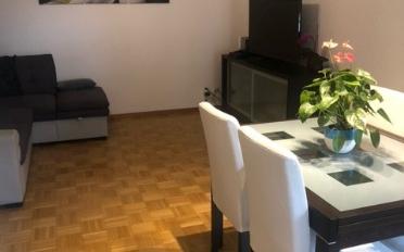 Wohnung 2.5 Zimmer - image - 4