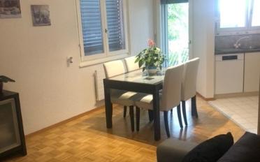 Wohnung 2.5 Zimmer - image - 5