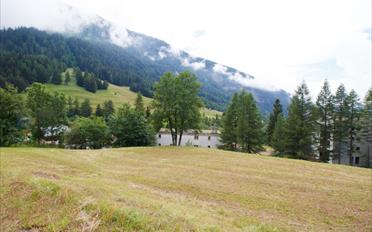 Building land - image - 1
