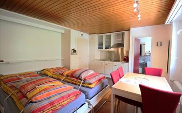 Wohnung ein Zimmer - image - 4